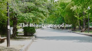 The Beauty Around Me  Cinematic photography amp videography  in May 2024 世界は美しいものであふれている [upl. by Ecaroh]