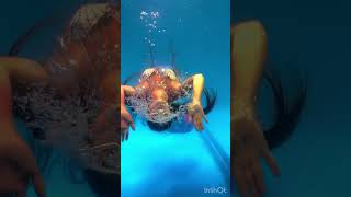 Mermaid in Ernakulammarine exposhortsyoutube shortsmermaid [upl. by Eiralc]