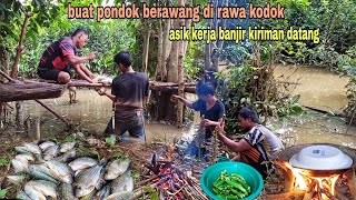 SHELTER BERAWANG DI RAWA KODOK ASIK KERJA BANJIR DATANG [upl. by Ennagrom187]