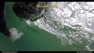 Test gopro  natation crawl sans palme [upl. by Childs]