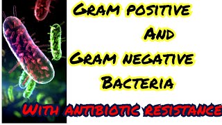 gram positive and gram negative bacteria note acinatobector is not normal skin flora its my mistake [upl. by Atinrev]