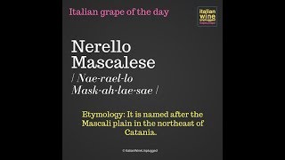 Nerello Mascalese [upl. by Ostler137]