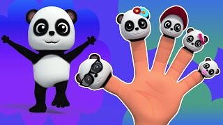 panda doigt Famille  comptine  Finger Family Song  Babies Rhyme  Kids Song  Panda Finger Family [upl. by Hahn709]