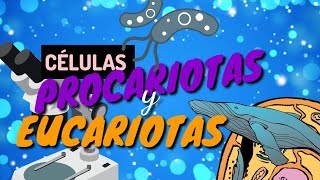 CÉLULAS PROCARIOTAS VS EUCARIOTAS aprende lo más importante en 5 minutosGUÍA EXAMEN UNAM BIOLOGIA [upl. by Adnaugal706]