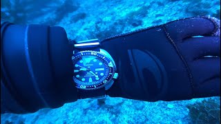 Top 10 Best Diver Watches For Men Buy 2024 [upl. by Neelsaj]