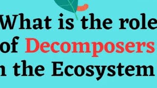 Role of decomposers in ecosystemclass 10 th Biology [upl. by Arocat783]