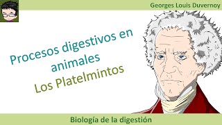 Digestión en los platelmintos tubelarios tremátodos y céstodos [upl. by Sidnak]