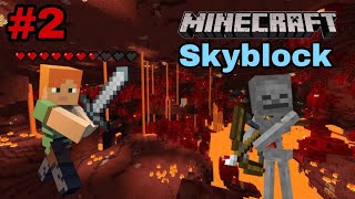 I Explore The Neither In Skyblock Minecraft Series  Episode 2 [upl. by Madalena276]