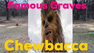 FAMOUS GRAVES Chewbacca  Peter Mayhew’s Unmarked Grave in Texas  A Tribute to Chewbacca Star Wars [upl. by Ahtnamys77]