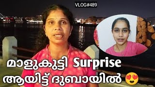 മാളുകുട്ടി Surprise ആയിട്ട് ദുബായിൽ 😍🙄 [upl. by Ettedo]