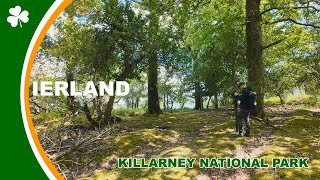 Fotograferen in Killarney National Park deel 1  Landschapsfotografie  136 [upl. by Osmo]