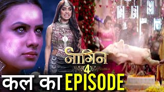 Naagin Season 7  This January 2025  Release Date  New Promo  Kab Aayega  Telly Lite [upl. by Alyl802]