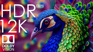 12K HDR 120fps Dolby Vision with Calming Music Animal Colorful Life [upl. by Hospers]