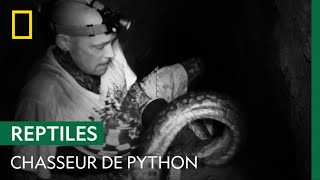 Un chasseur de serpents attrape un python à mains nues [upl. by Bashemeth]