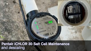 Pentair ICHLOR 30 Salt Cell Maintenance and Descaling for Optimum Performance [upl. by Radford]