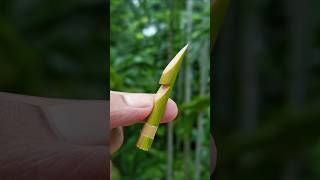 Bamboo creations with Bamboo Stick Slingshots bamboo bamboocrafts Diy slingshots bambooart [upl. by Ahseekan730]