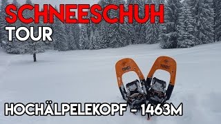 Schneeschuhtour aufs Hochälpele am Bödele [upl. by Gardia224]