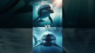 Great White Shark vs Dolphin vs  Orcas megalodon hammer head shark polar bear sperm whale [upl. by Lucretia]