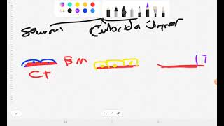 Epithelium ampCT [upl. by Alyss]