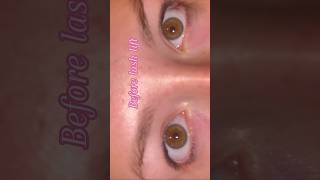 Eyelash lift and tint eyelashes eyelashliftandtint glowup lashes liftandtint beutyhack [upl. by Nyliram]