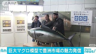 都庁展望台に「巨大マグロ」 豊洲市場の魅力発信180202 [upl. by Warfore897]