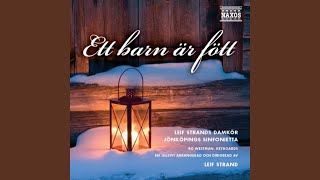 Sankta Lucia Santa Lucia Sung in Swedish arr L Strand [upl. by Silirama754]