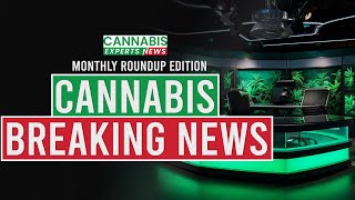 Cannabis in 2024 Januarys JawDropping Developments You Missed [upl. by Strong]