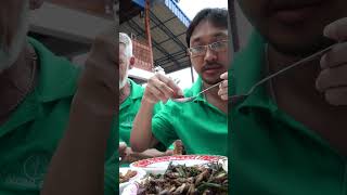 thai fried silkworms 🐛 bts rawfootage [upl. by Hoffarth]