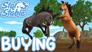 Buying New Mustang Horses  Star Stable ft Jorja [upl. by Cutcliffe]