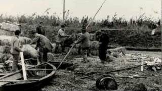 Porto Tolle  Alluvione dal mare del 5 novembre 1966mp4 [upl. by Silvestro366]