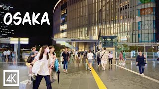 週末の大阪梅田駅 地下道を散歩｜4K HDR｜Walk around Osaka Umeda Station on weekends [upl. by Aramac558]