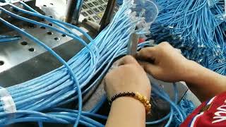 Ethernet Cable Patch Cord Patch Cable Molding Step [upl. by Cassie]