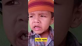 চাচার পেটো গ্যাস Sjha64 sylhetisasa shortsvideo funny [upl. by Repsac]