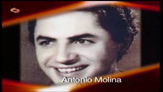 Antonio Molina falsete final del cantaor de Totalán Málaga [upl. by Hsatan140]