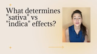 What determines quotsativaquot vs quotindicaquot effects in marijuana [upl. by Dillon]