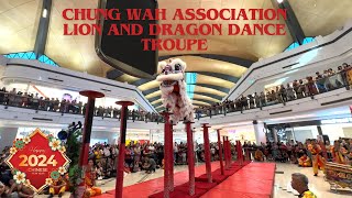 Chung Wah Association Lion Dance High Pole Performance  Karrinyup Shopping Centre Perth WA 2024 [upl. by Phillipp464]