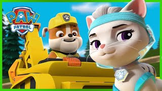 Epizody Motopiesków z Psiego Patrolu i kociej bandy  Psi Patrol PAW Patrol po polsku [upl. by Oidgime]