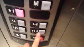 Schindler HT Hydraulic elevator  Urban Outfitter KOP Mall King of Prussia PA [upl. by Anivid]