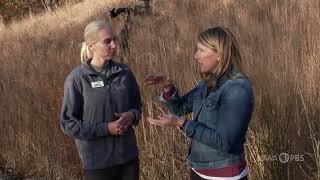 Loess Hills at Stone State Park  FIND Iowa [upl. by Muffin]