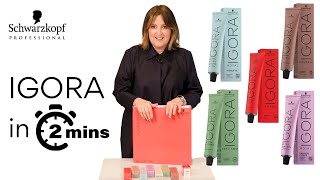 Learn the Schwarzkopf Professional IGORA product range in under 2 minutes [upl. by Eissen722]