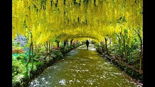 Top 10 Most Beautiful Tree Tunnels in world 2018 [upl. by Adnahs390]