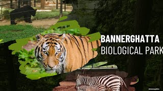 Bannerghatta National Park  Part  1 [upl. by Bowlds]