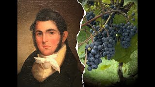 Norton The Grape That Changed Everything  Documentary [upl. by Issej]