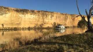 Scamp on Murray River [upl. by Britteny]