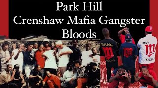 Park Hill Crenshaw Mafia Gangster Bloods DENVER METRO GANGSTERS [upl. by Egarton]