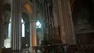 Cathédrale de Reims [upl. by Garrard]