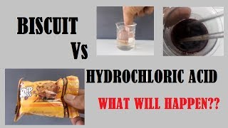 Hydrochloric acid and Biscuit  What will happen [upl. by Mic]