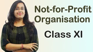 Income amp Expenditure Account  Non Profit Organisations  TS Grewal Accounts Class 11th [upl. by Phebe]