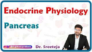 Physiology of Endocrine Pancreas  USMLE Step 1 [upl. by Kliber]