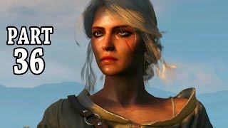 Lets Play The Witcher 3 Gameplay German Deutsch 36  Ganze Barongeschichte [upl. by Airretal]